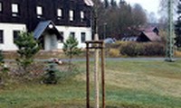 Desná
